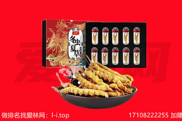 平谷区回收虫草.jpg